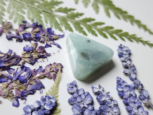 BC Ocean picture stone