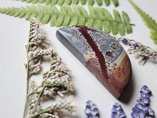 Sonoran Dendritic Rhyolite