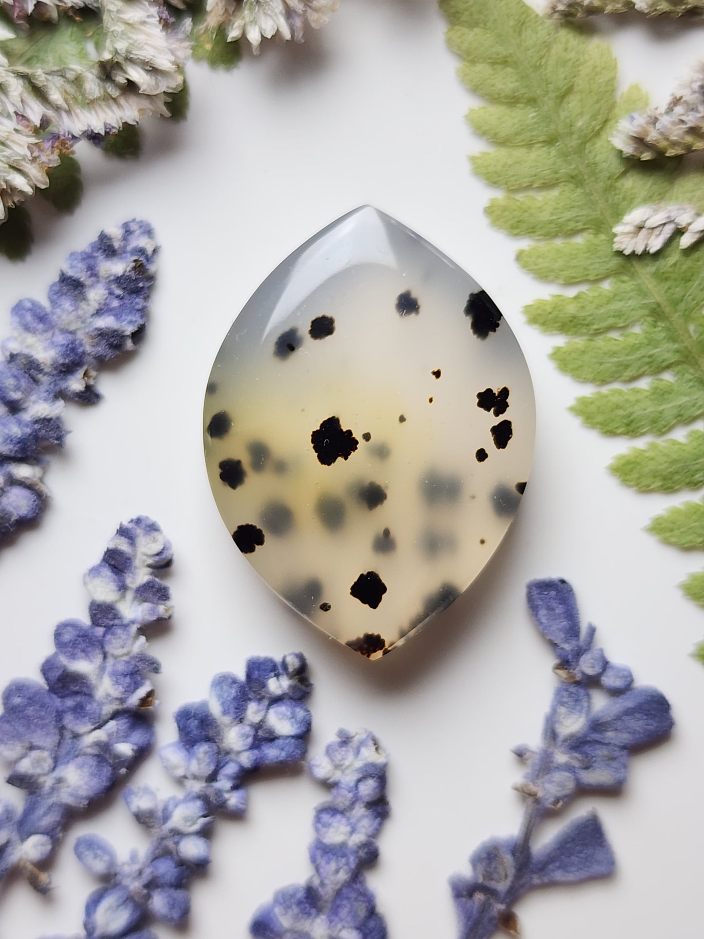 Montana agate