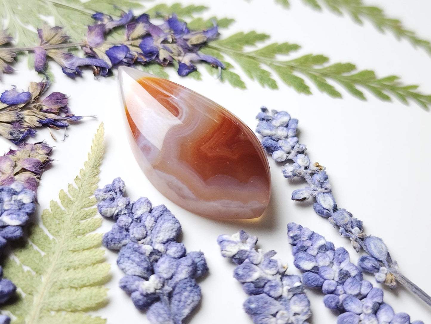 Agua Nueva agate