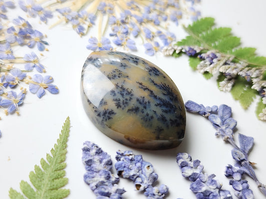 Dendritic Amethyst sage agate