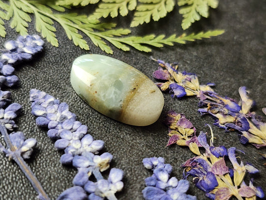 BC Ocean Picture Stone