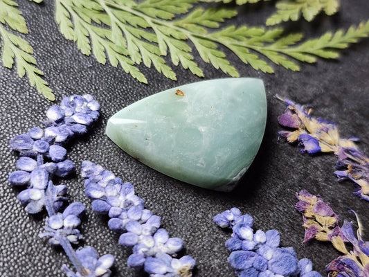 BC Ocean Picture Stone