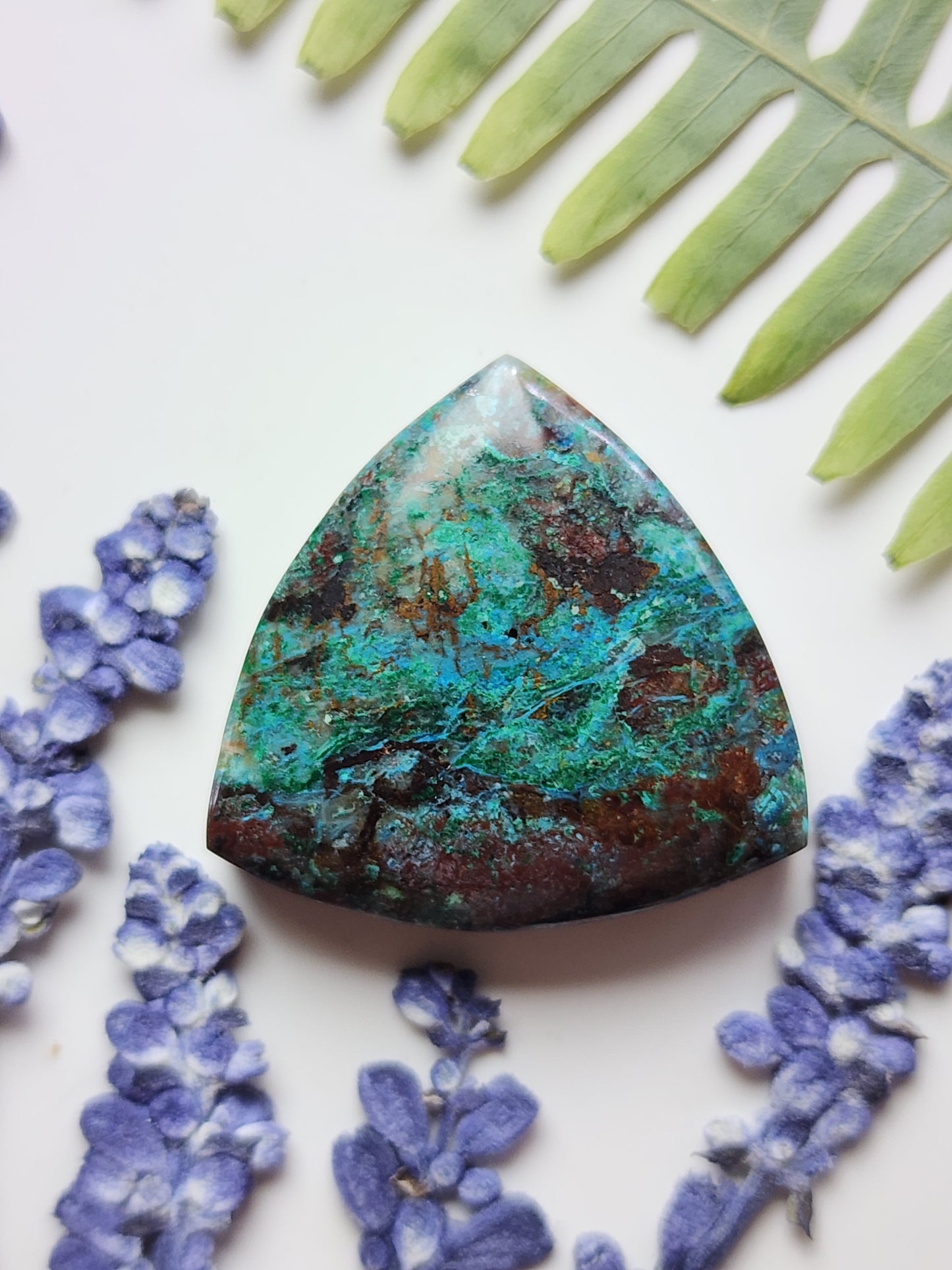 Parrot wing Chrysocolla