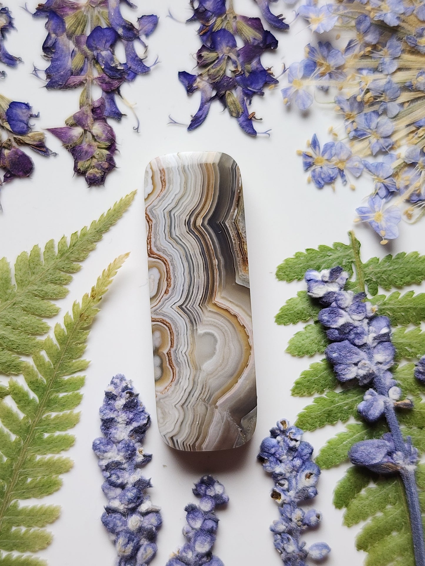 Laguna lace agate