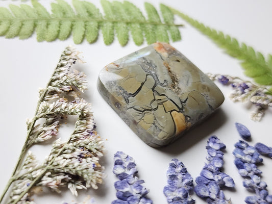 Brecciated Ibis jasper