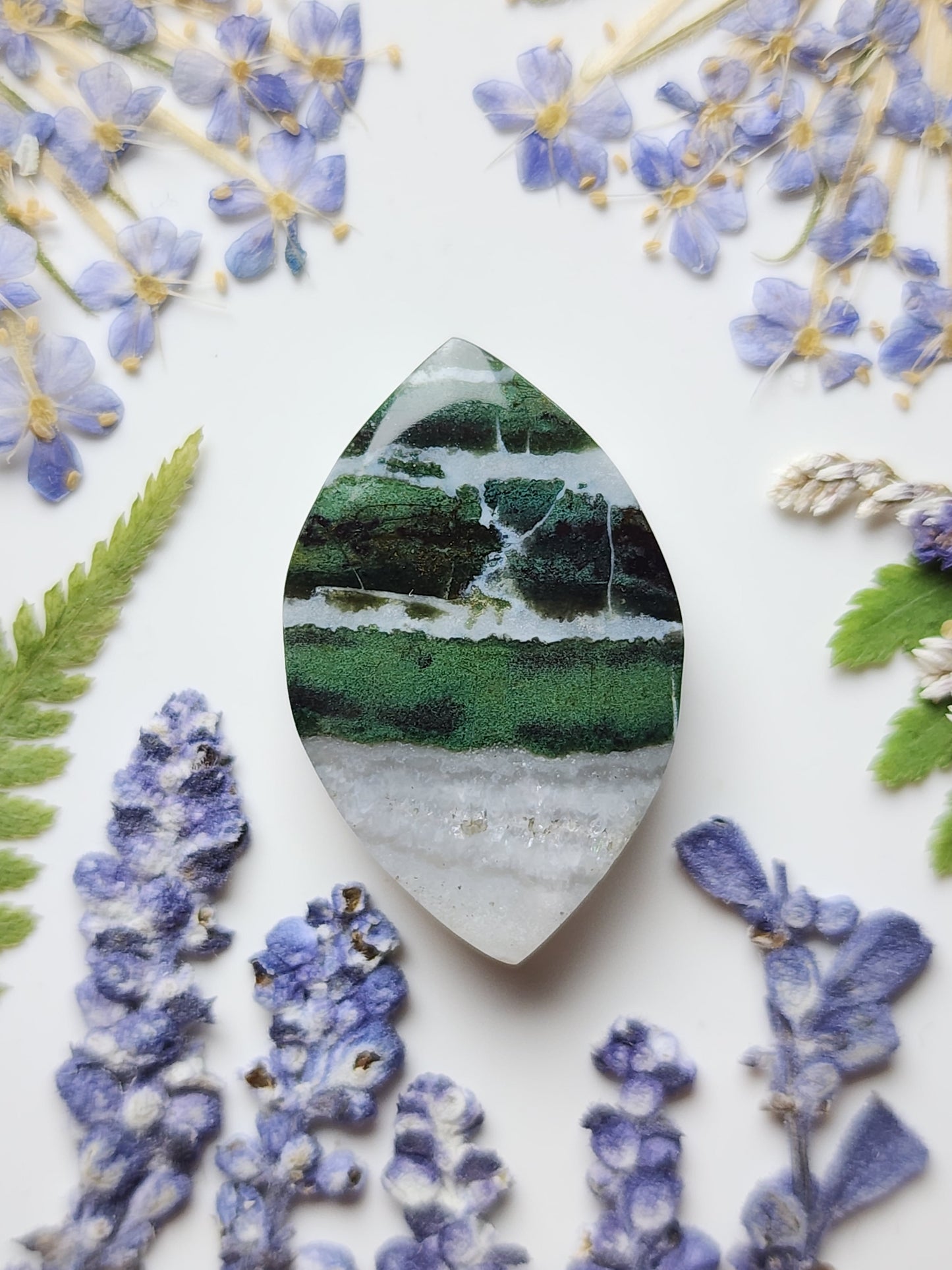 Green Zebra jasper