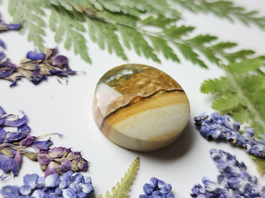Starry night picture jasper
