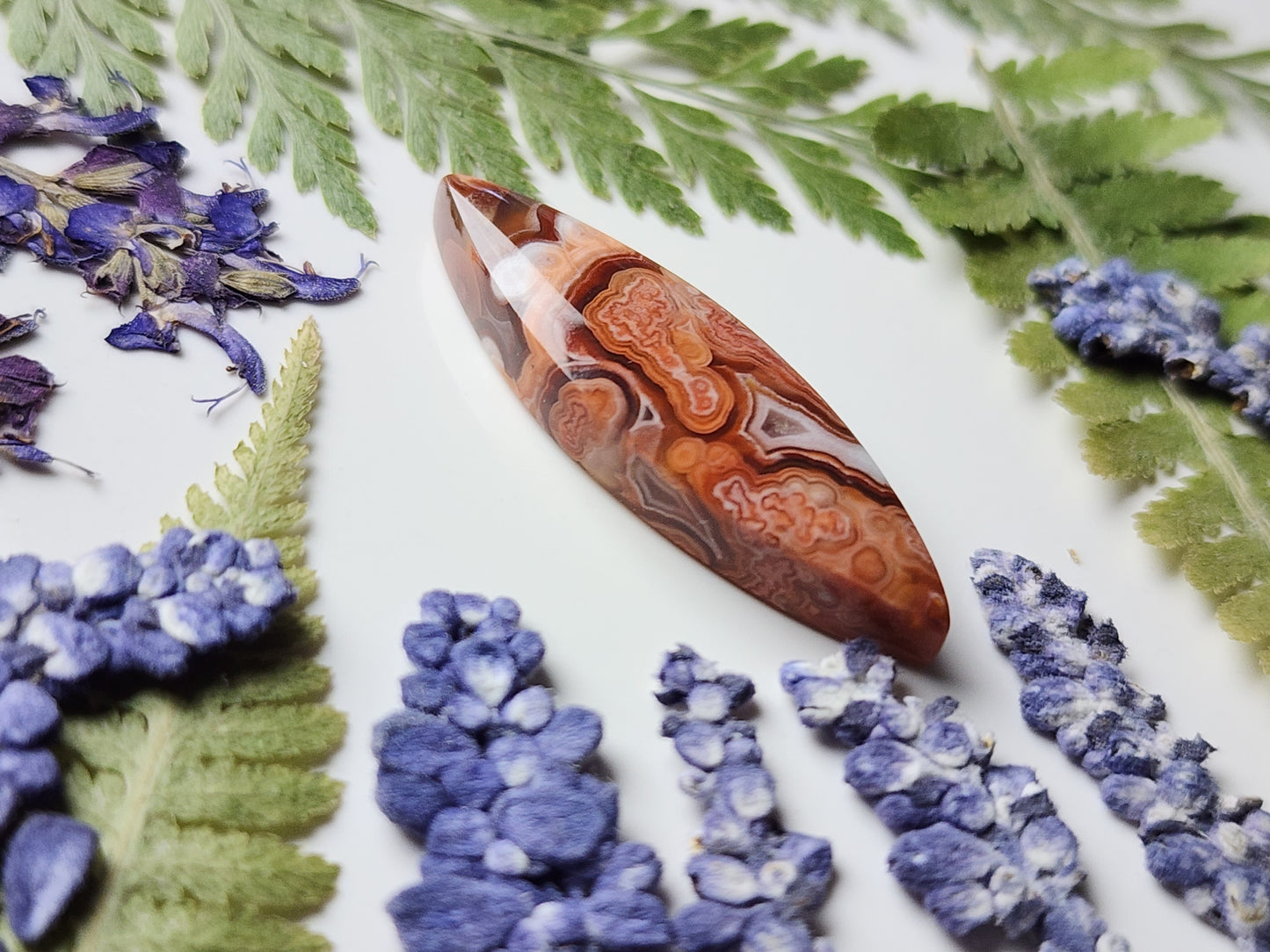 Laguna lace agate
