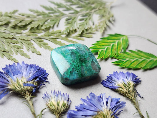 Spiderweb Chrysocolla