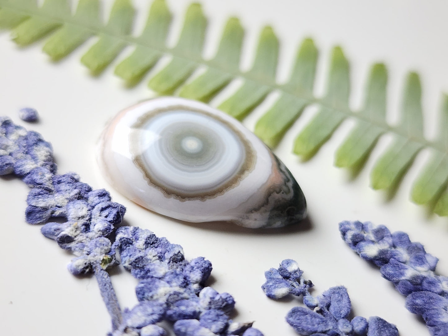 Ocean jasper