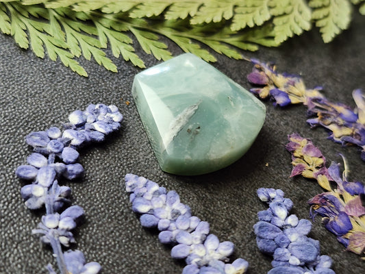 BC Ocean Picture Stone