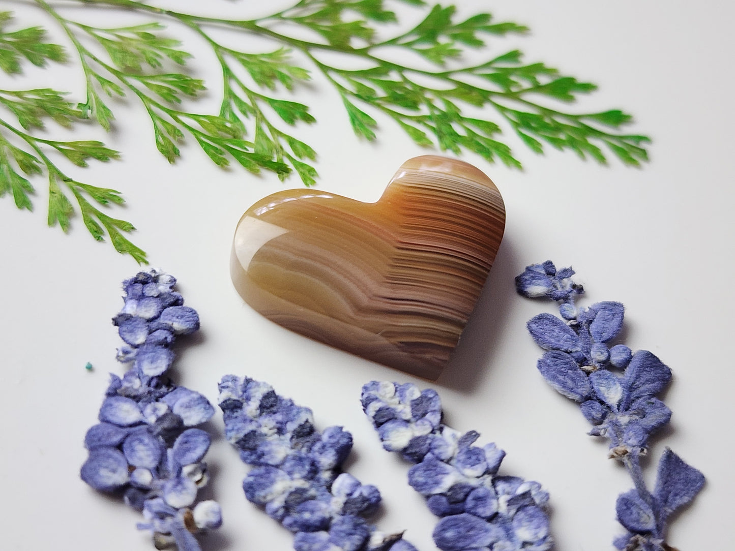 Agua Nueva agate heart