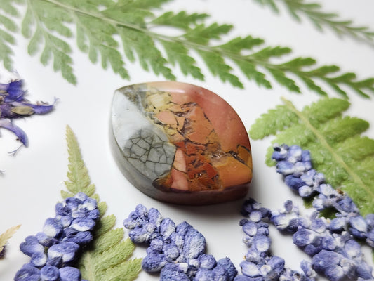 Brecciated Ibis jasper