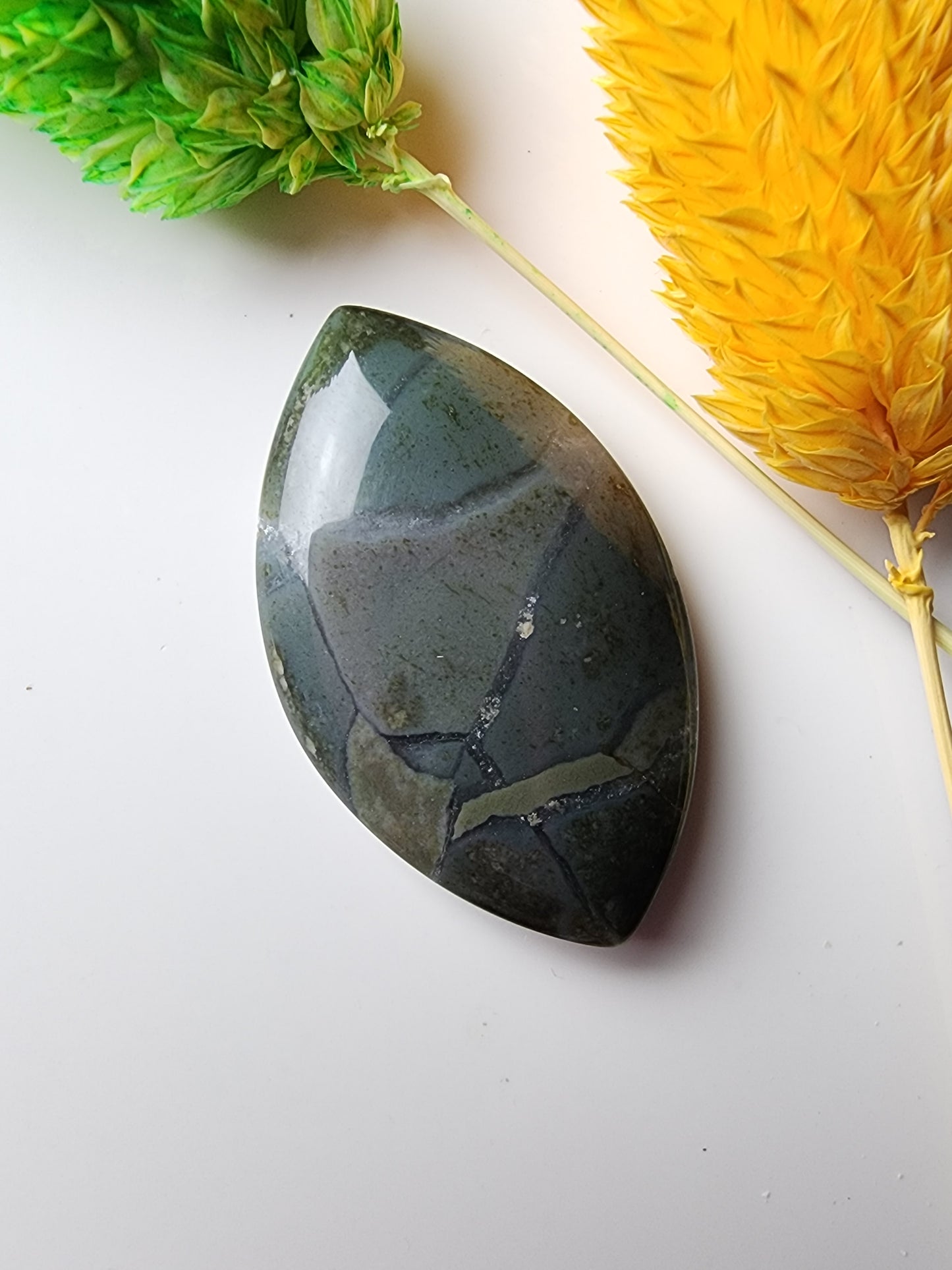 Brecciated Polychrome jasper