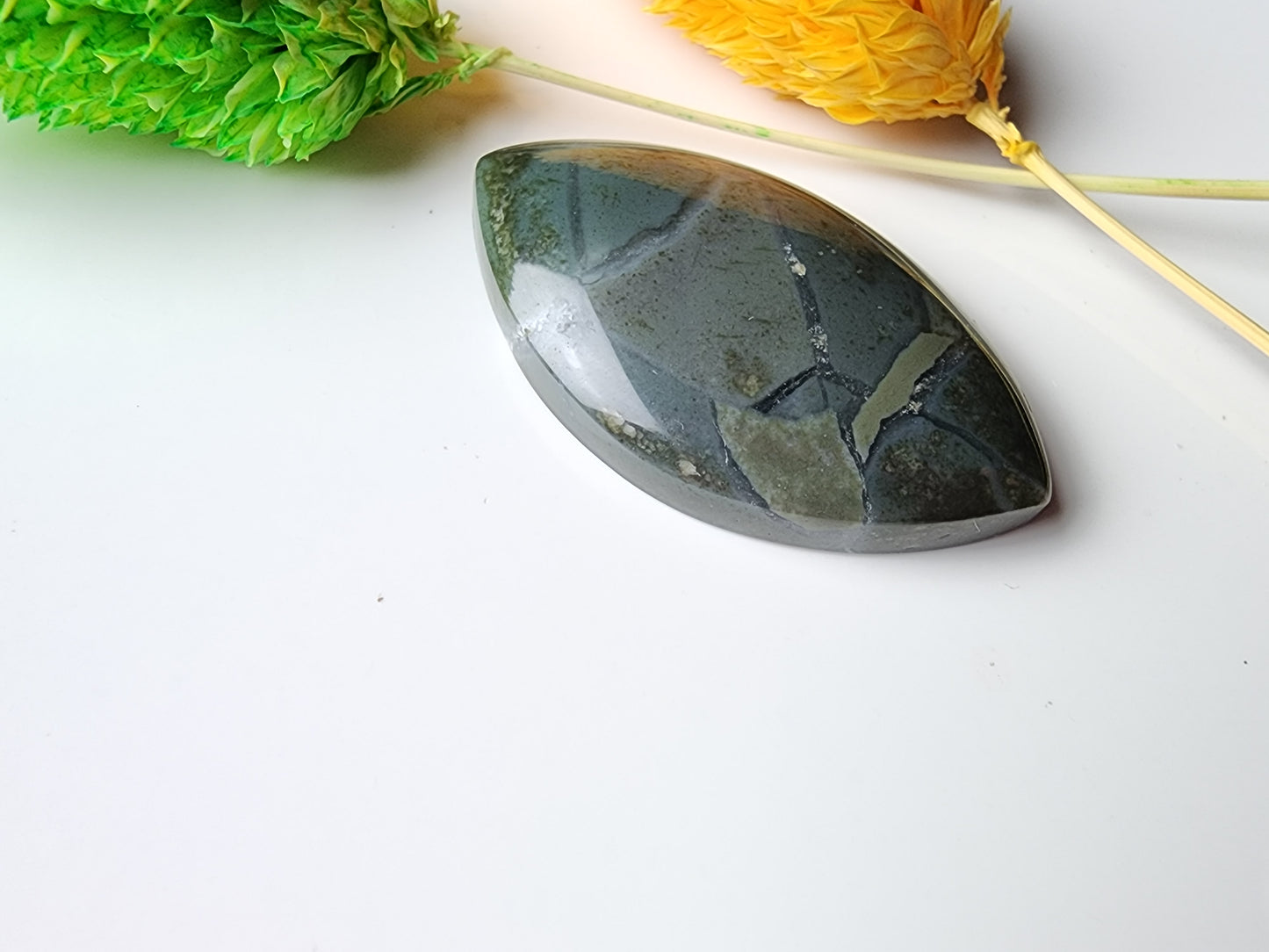 Brecciated Polychrome jasper