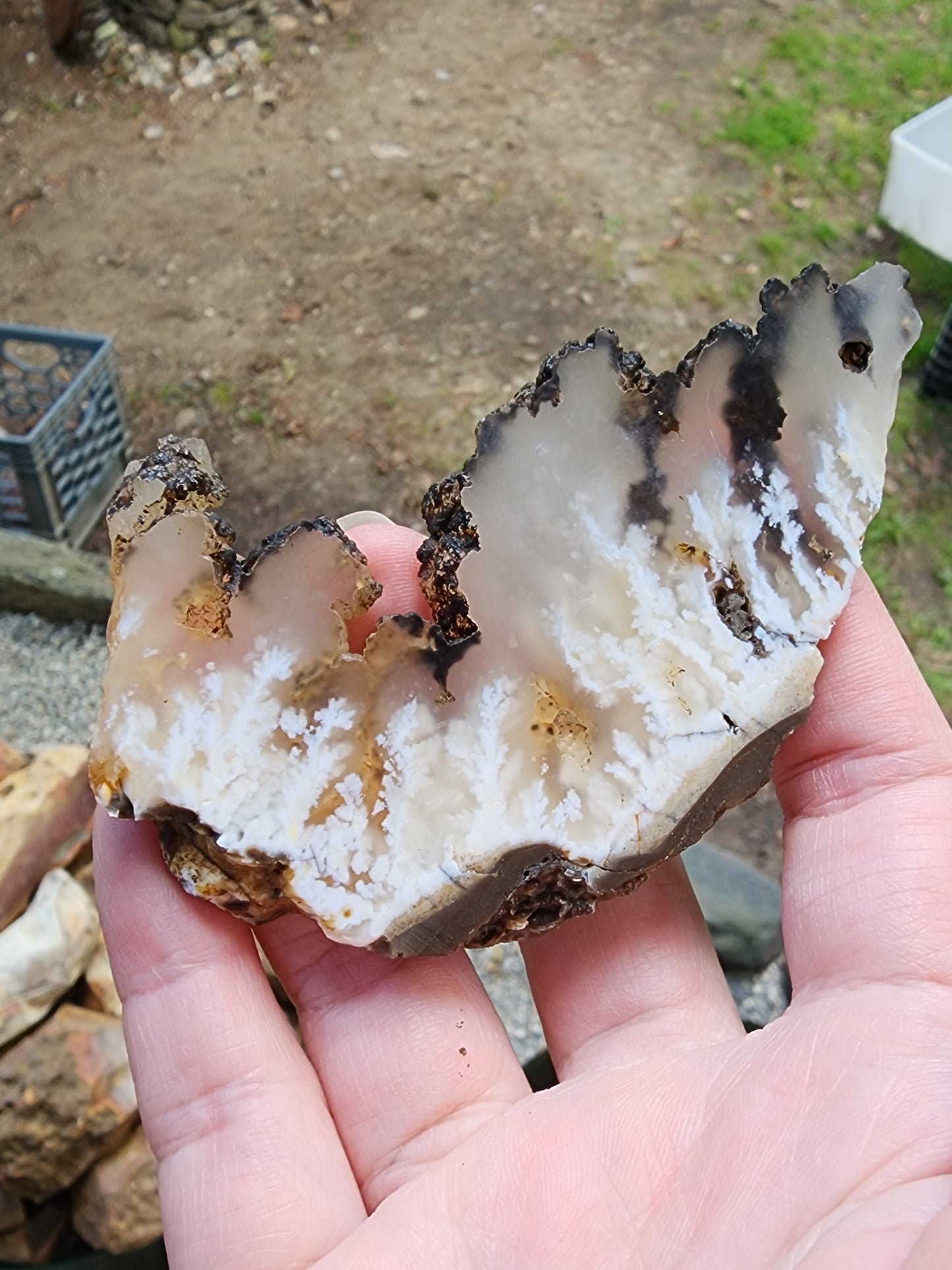 Stinking water plume agate slab