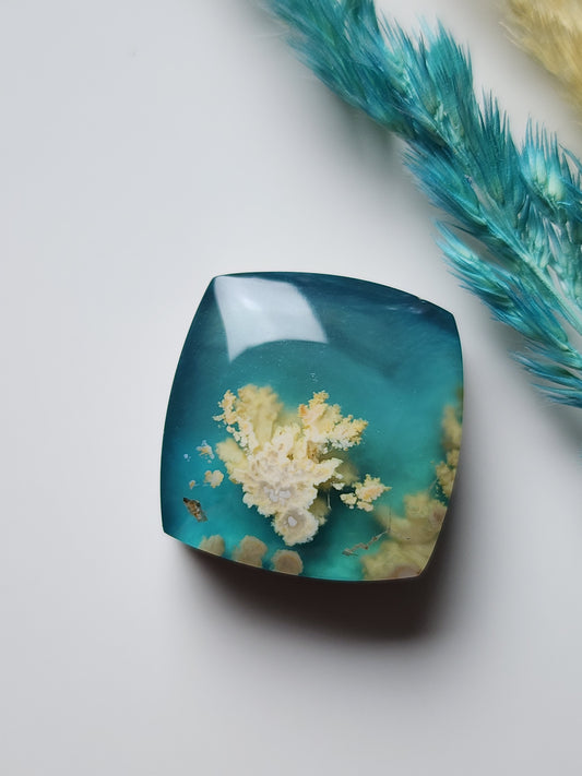 Stinking water plume agate Doublet