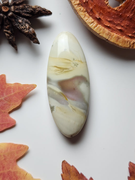 Willow creek jasper