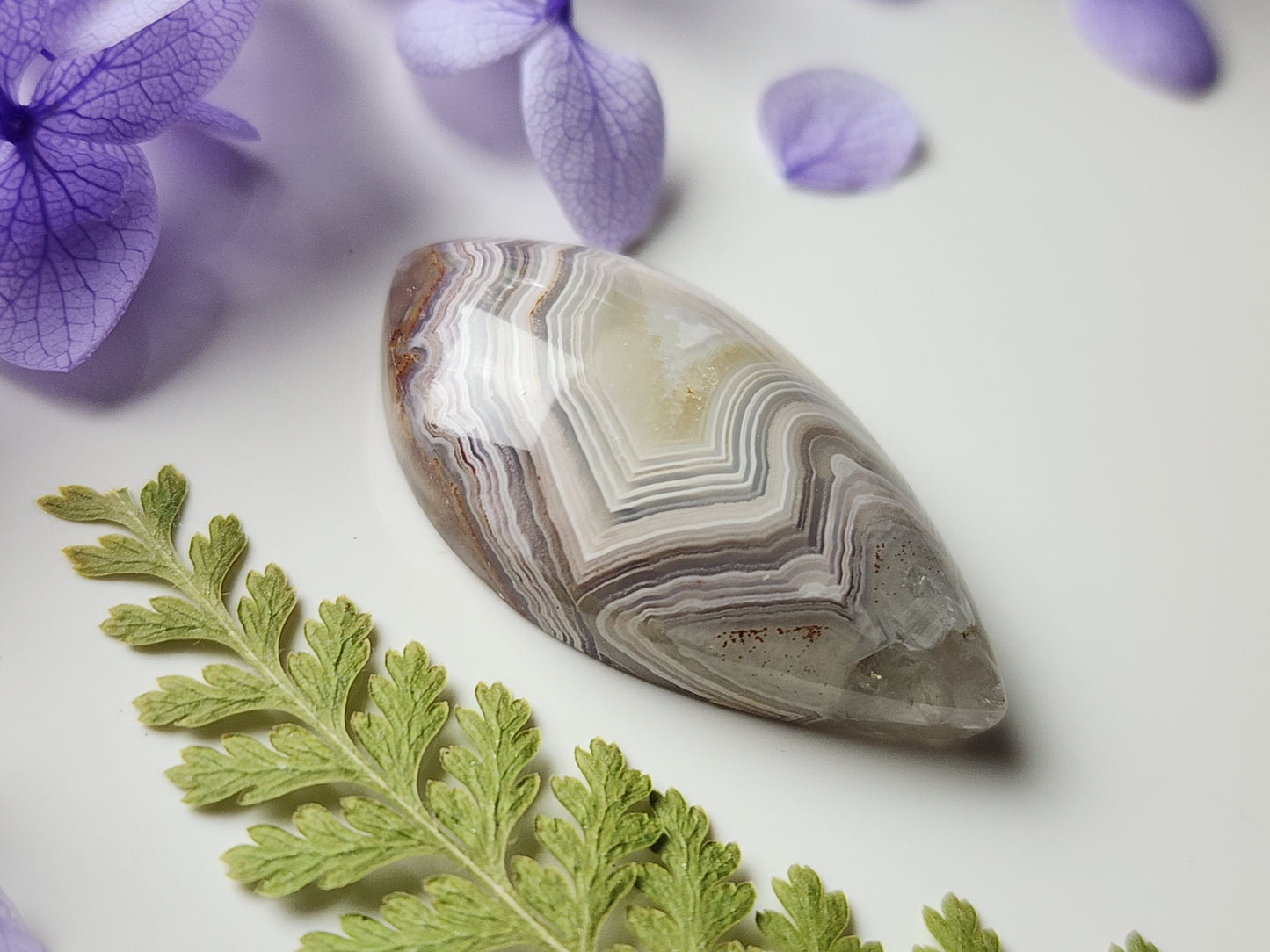 Laguna lace agate