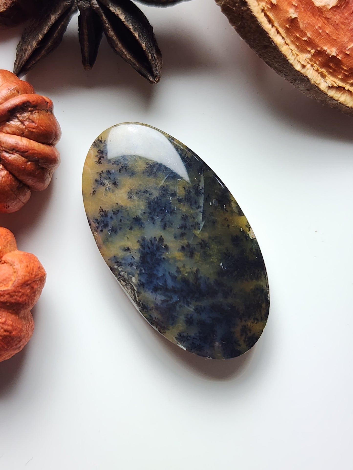 Dendritic agate