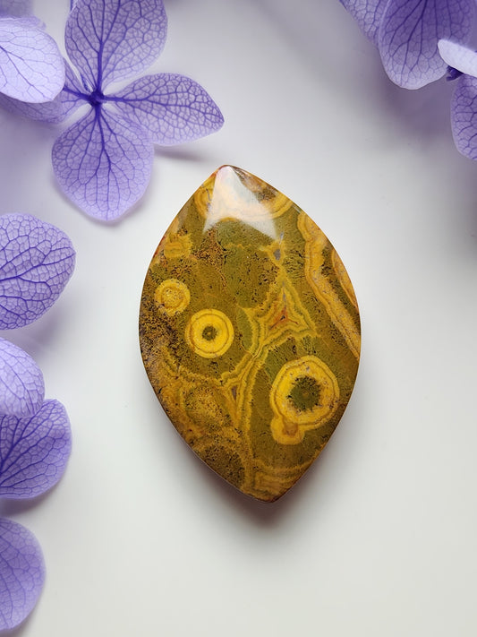 Kabamby jasper