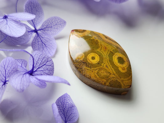 Kabamby jasper