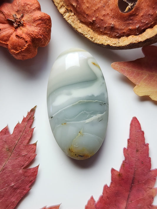 Willow creek jasper