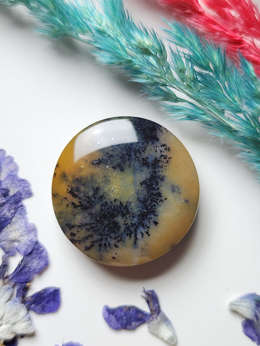 Dendritic agate