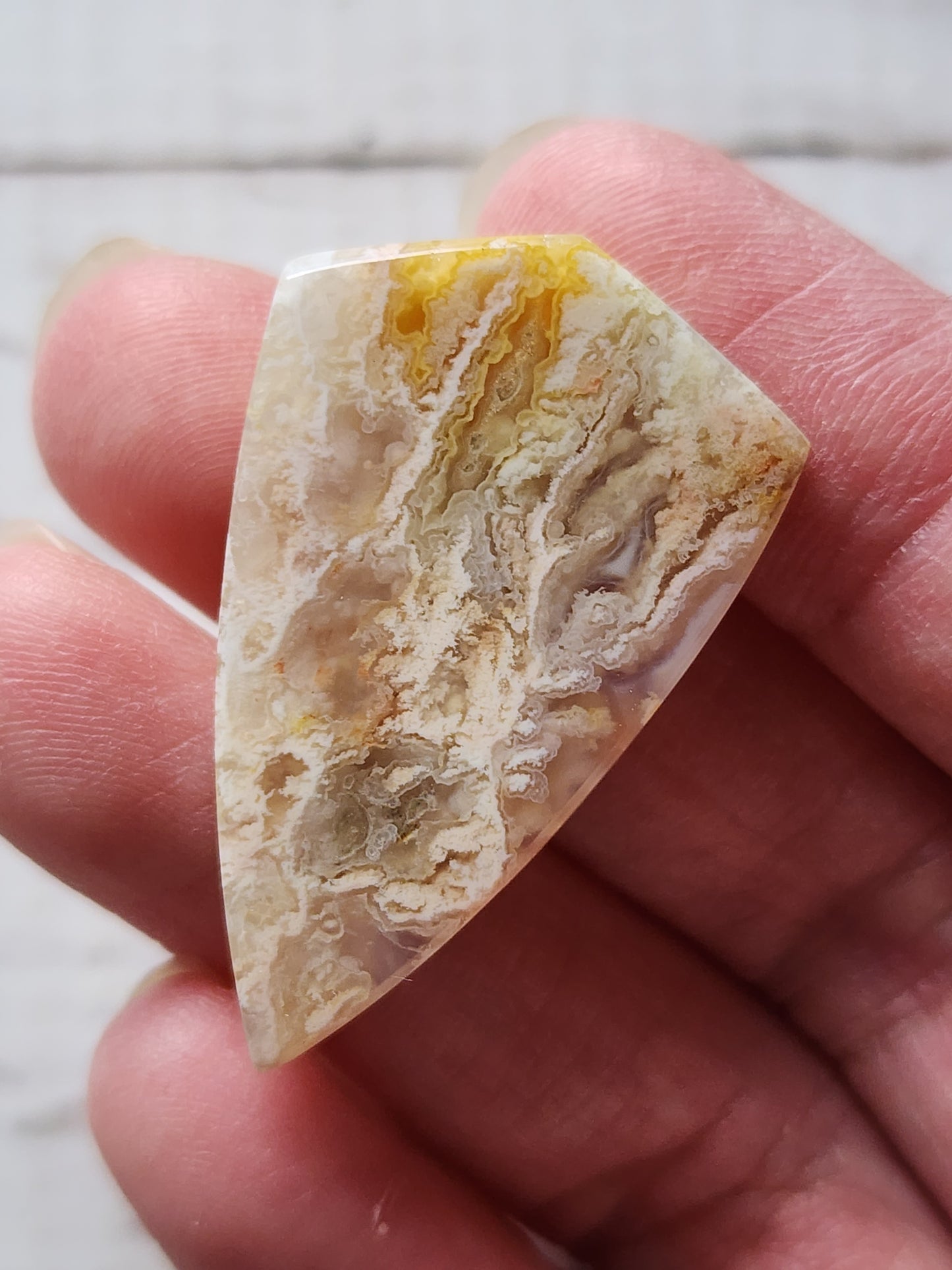 Bella vista plume agate