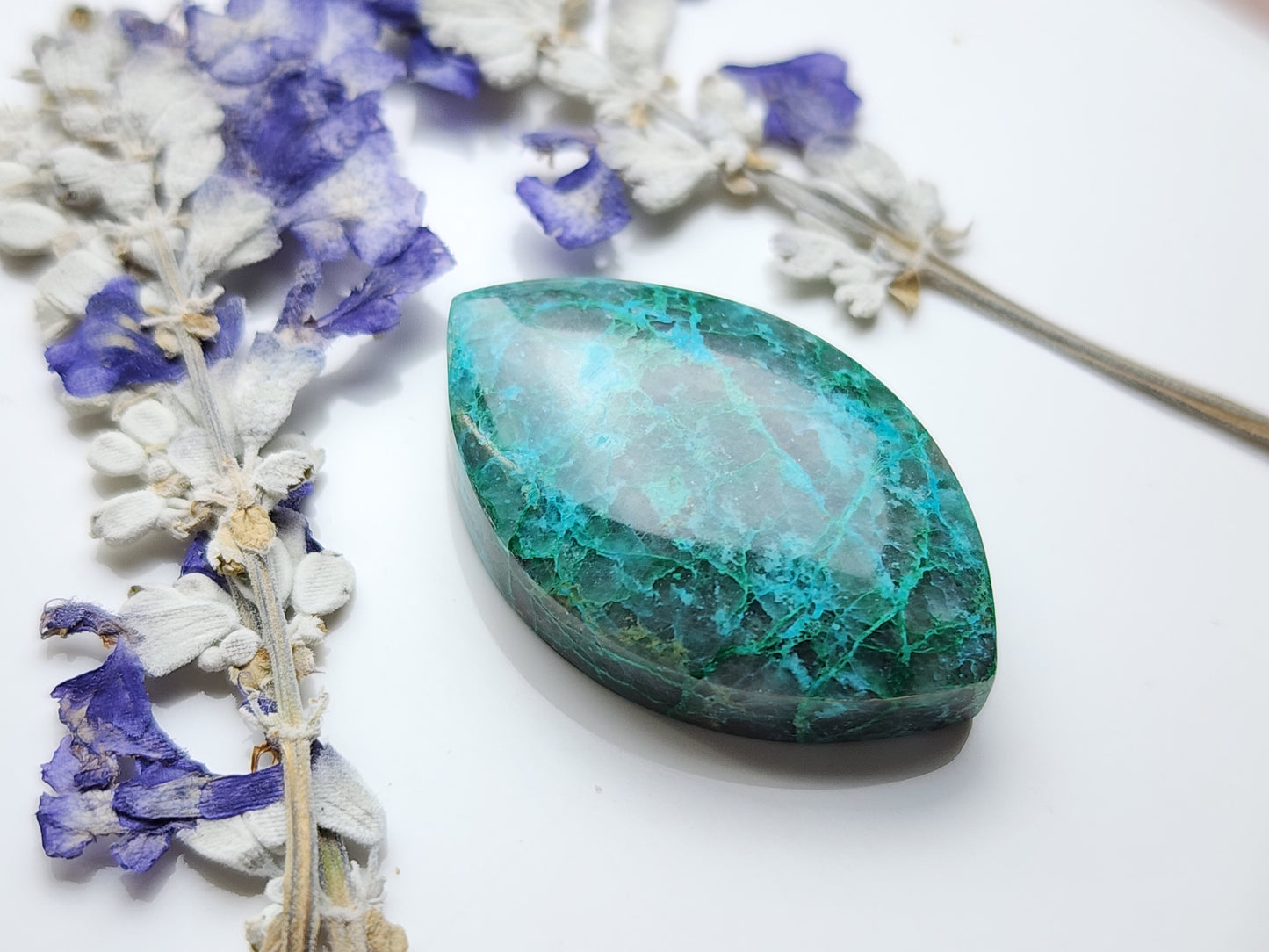 SpiderWeb Chrysocolla