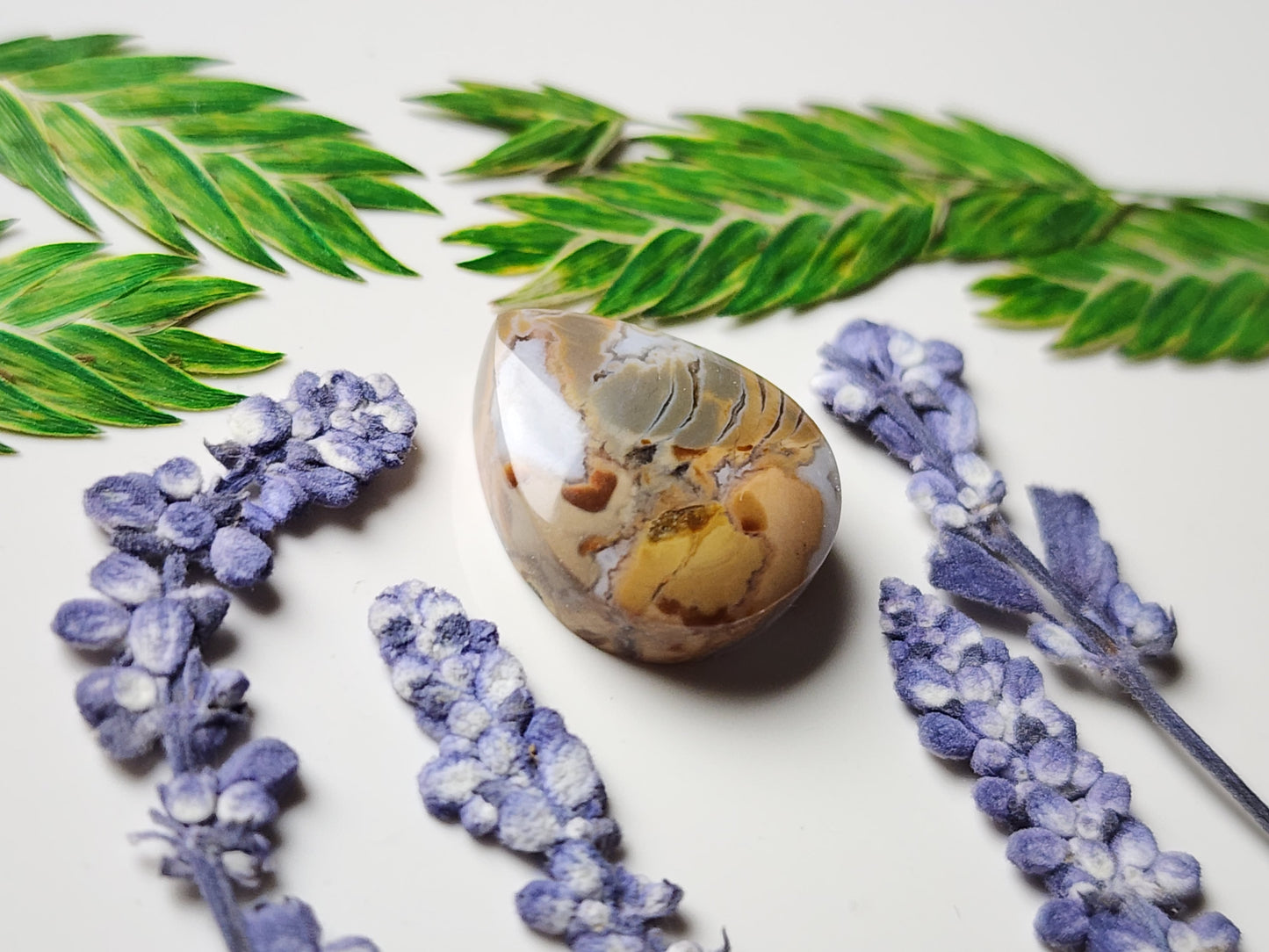 Brecciated Ibis jasper