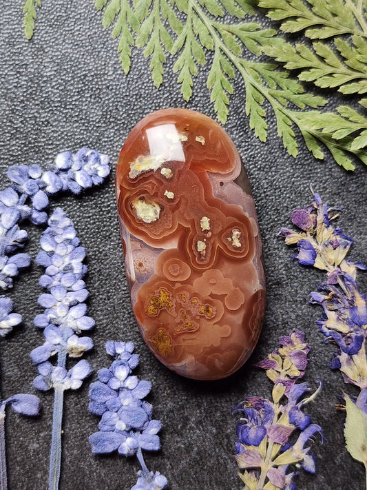 Agua Nueva agate