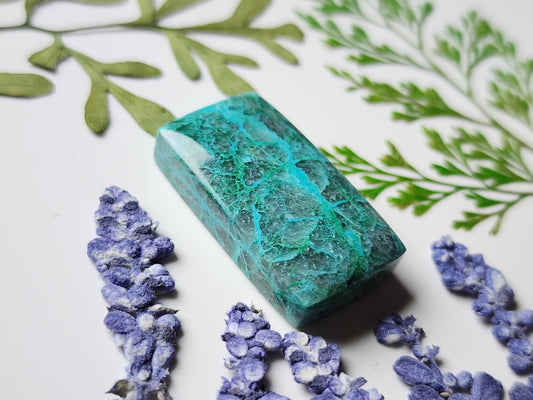 Spiderweb Chrysocolla