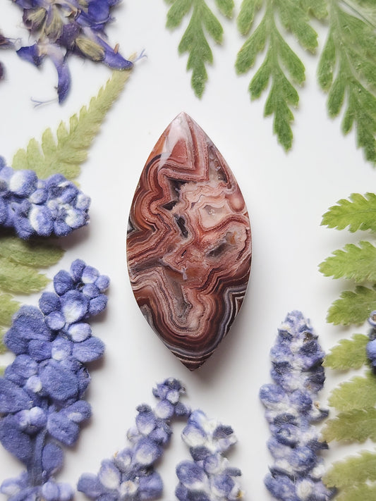 Laguna lace agate