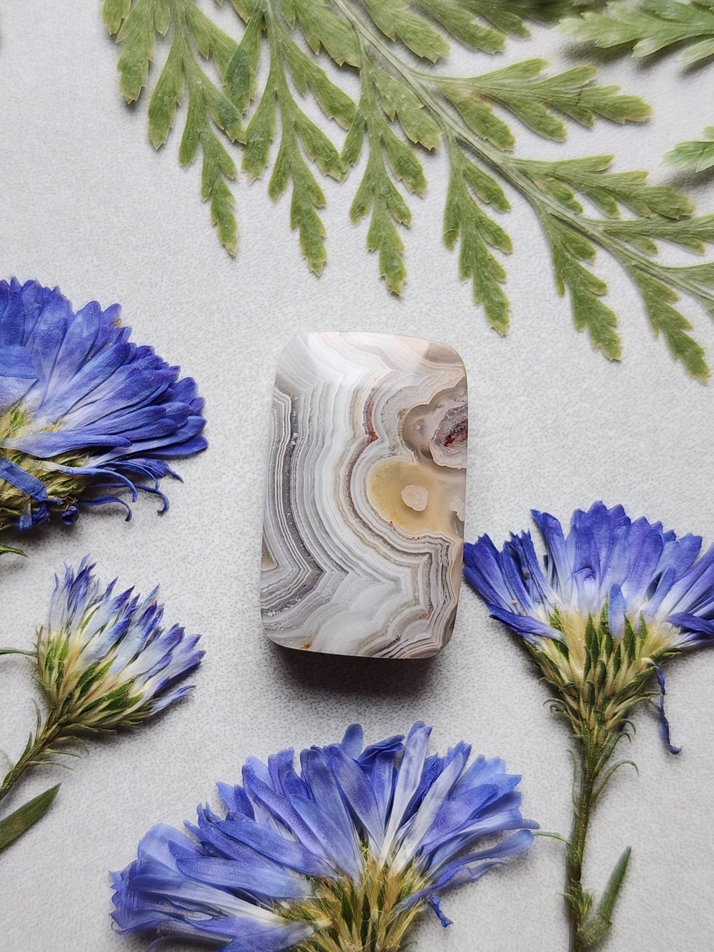 Laguna lace agate
