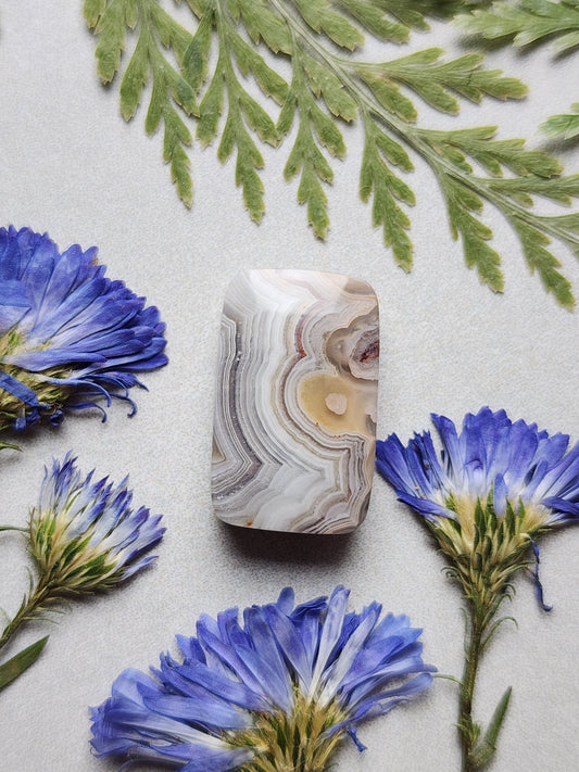 Laguna lace agate