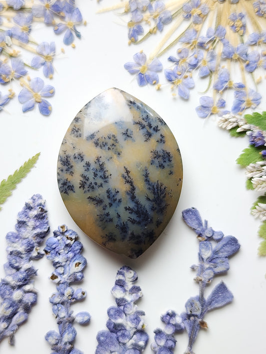 Dendritic Amethyst sage agate