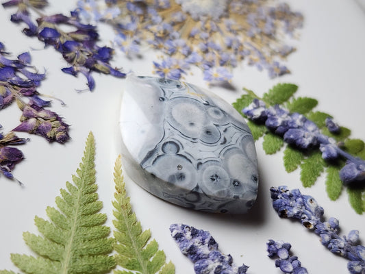 Galaxy Rhyolite