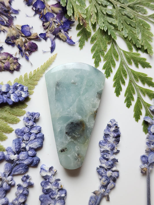 BC Ocean Picture stone