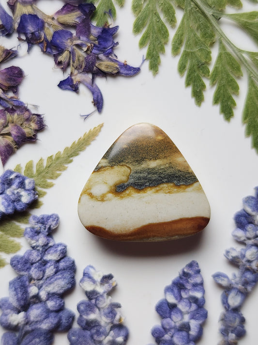 Starry night picture jasper