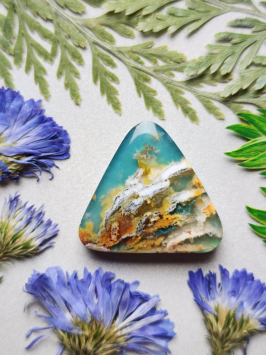 Bella Vista plume agate Doublet