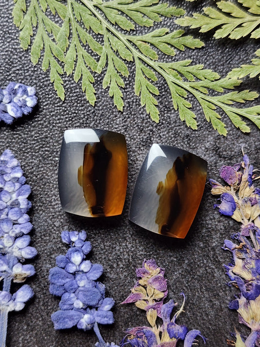 Montana agate pair