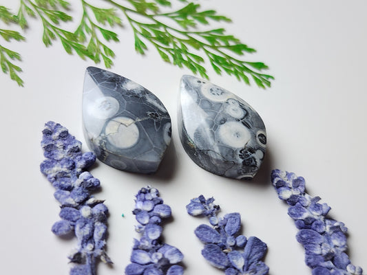 Galaxy Rhyolite pair