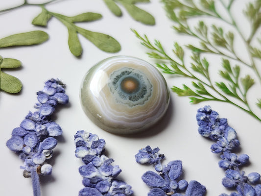 Ocean jasper