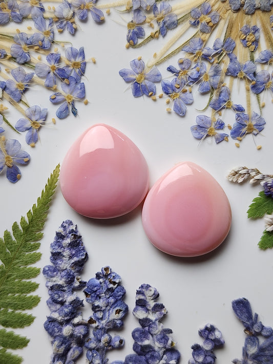 Pink Conch shell pair