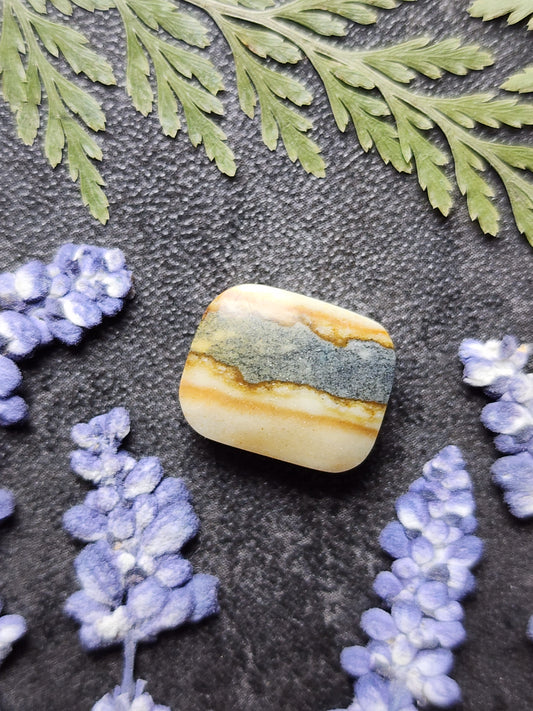Starry night picture jasper