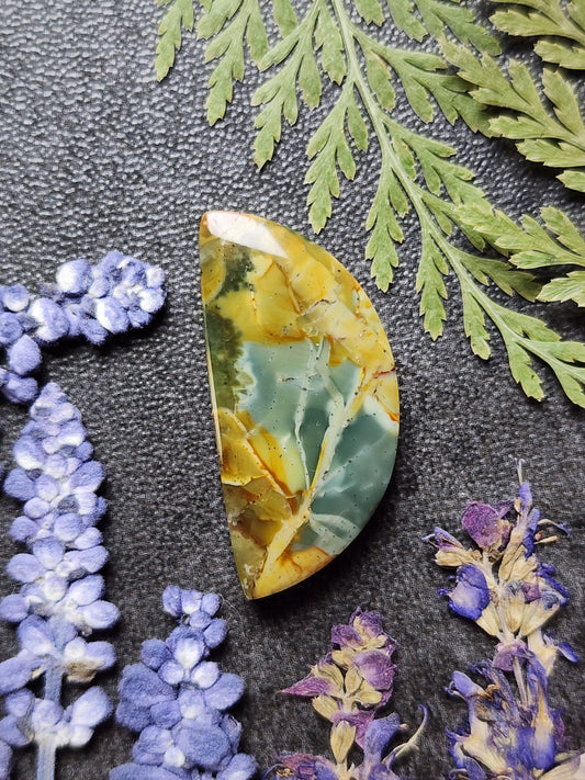 Morrisonite jasper