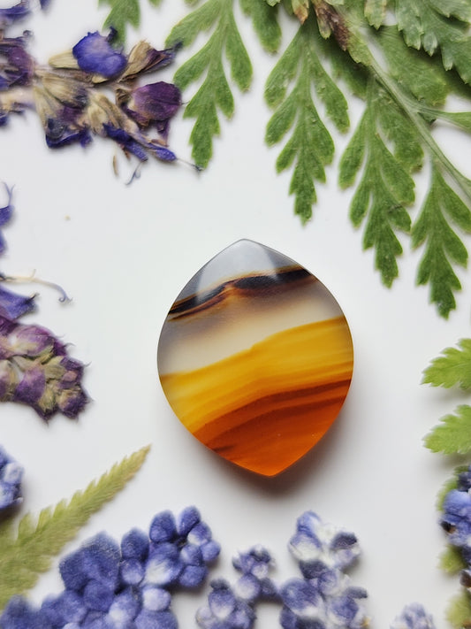 Montana agate