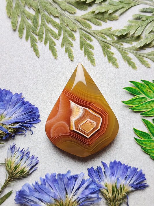 Agua Nueva agate
